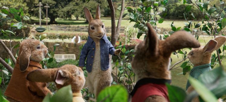比得兔 Peter Rabbit  gallery Image